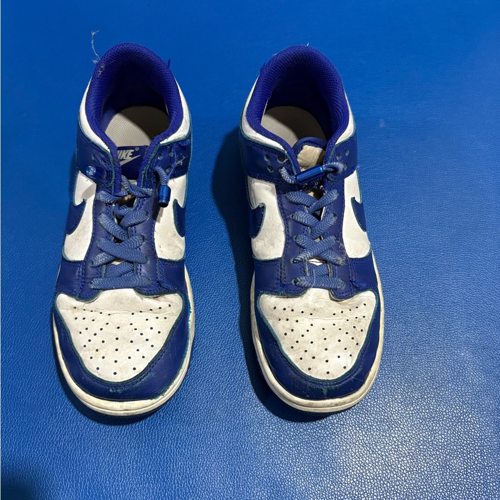 Nike Royal Blue and White Air Force 1
